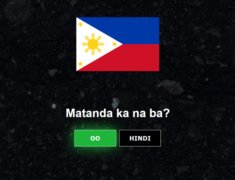A flag on a black surface Description automatically generated