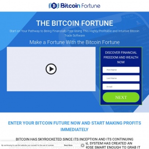 The Bitcoin Fortune English 1466